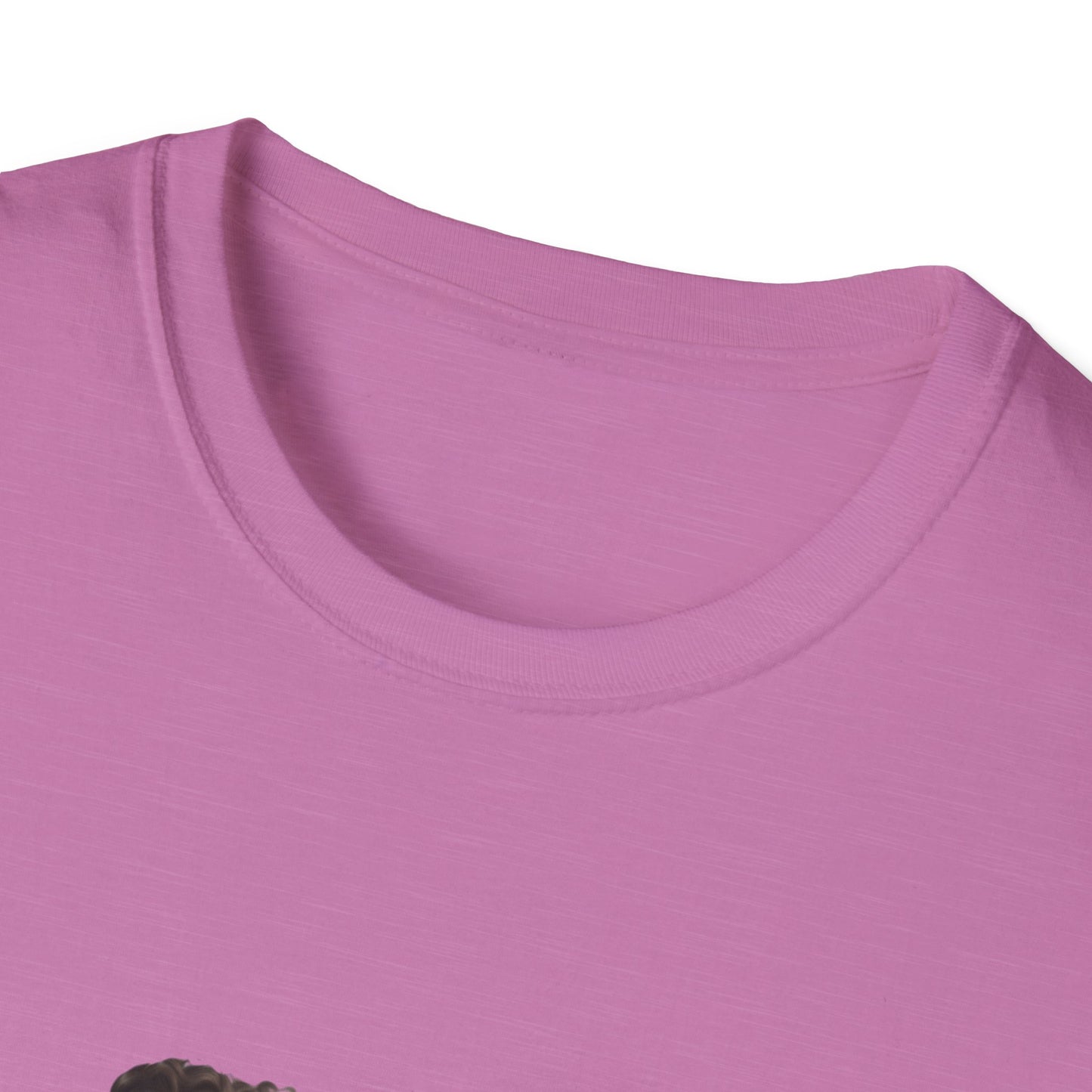 Boss Lady Unisex Softstyle T-Shirt - Empowering Fashion for Confident Women