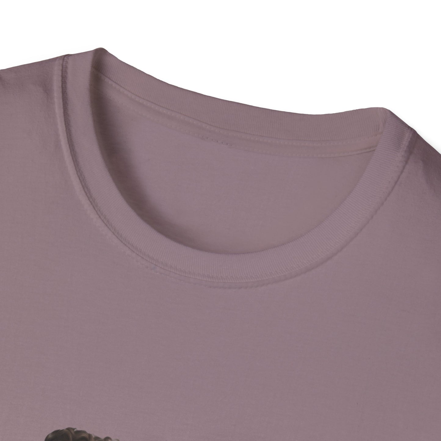 Boss Lady Unisex Softstyle T-Shirt - Empowering Fashion for Confident Women